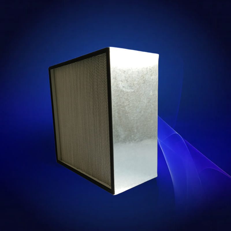 Dirlkbiel V/W Partition HEPA H13 (99.99%)